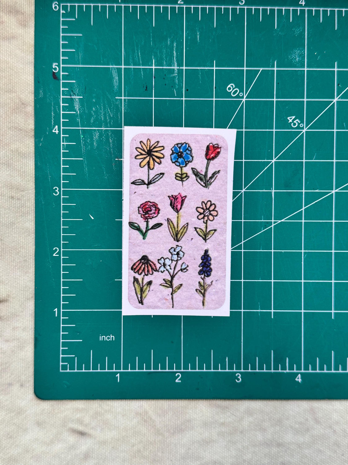 Hand Drawn Floral Stickers β Botanical Art Bundle for Journaling, Scrapbooking (Set of 4)