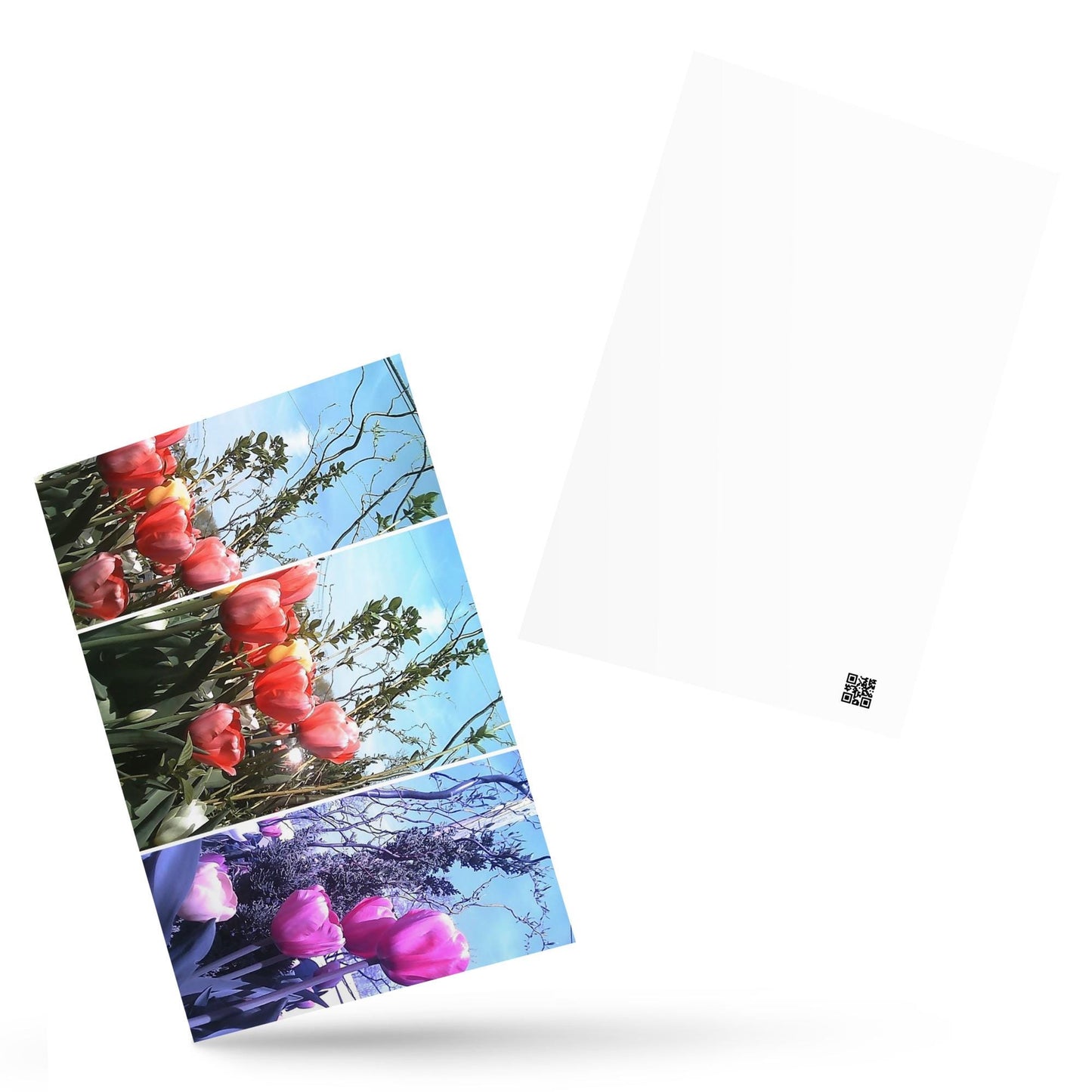Fine Art Photography Postcard | 4x6 Mini Print, Collectible Artwork