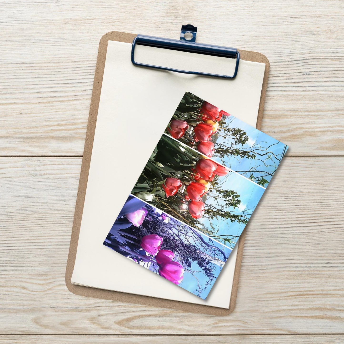 Fine Art Photography Postcard | 4x6 Mini Print, Collectible Artwork
