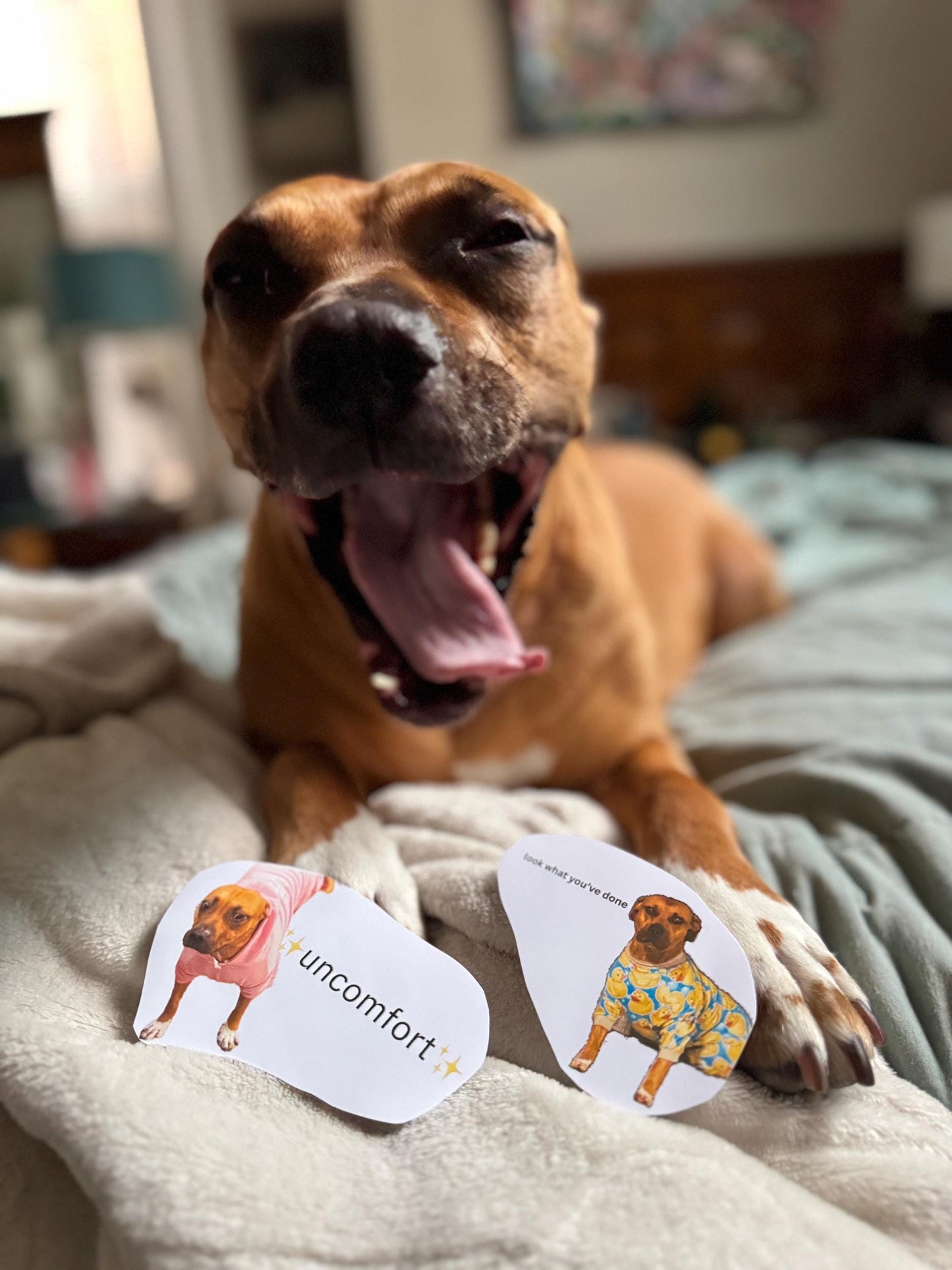 Funny Dog Sticker | Wee Woo Meme, Anxiety Emotion (2-3in)