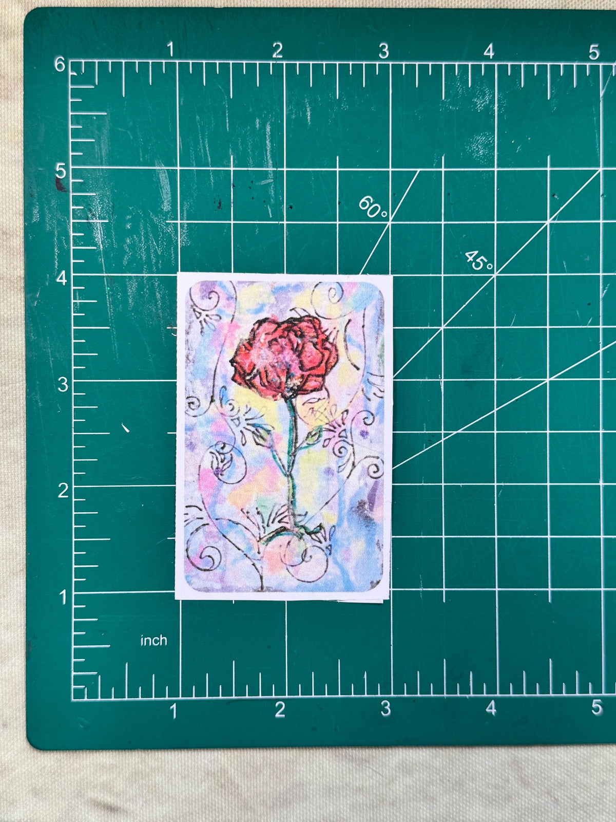 Hand Drawn Floral Stickers – Botanical Art Bundle for Journaling, Scrapbooking (Set of 4)