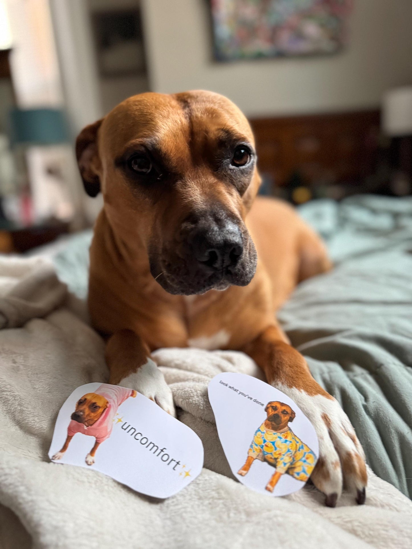Dog Meme Sticker | Ominous Wee Woo, Rubber Ducky Pajamas (2-3in)