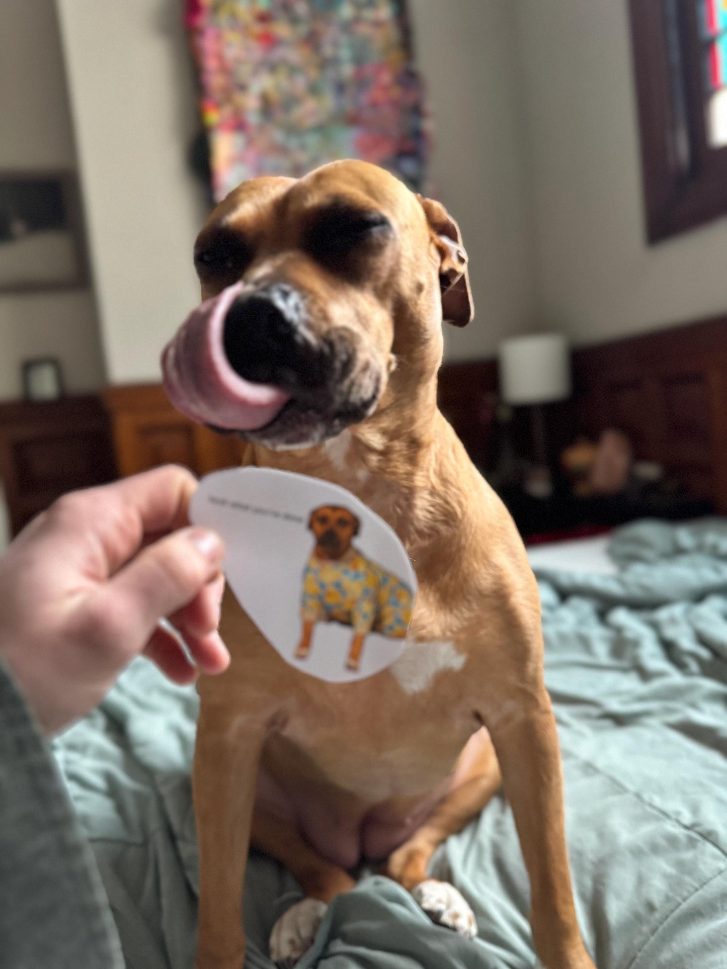 Dog Meme Sticker | Ominous Wee Woo, Rubber Ducky Pajamas (2-3in)