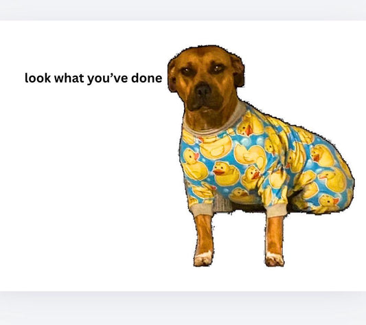 Dog Meme Sticker | Ominous Wee Woo, Rubber Ducky Pajamas (2-3in)